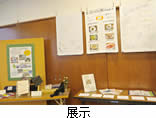 展示の様子