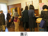 展示の様子